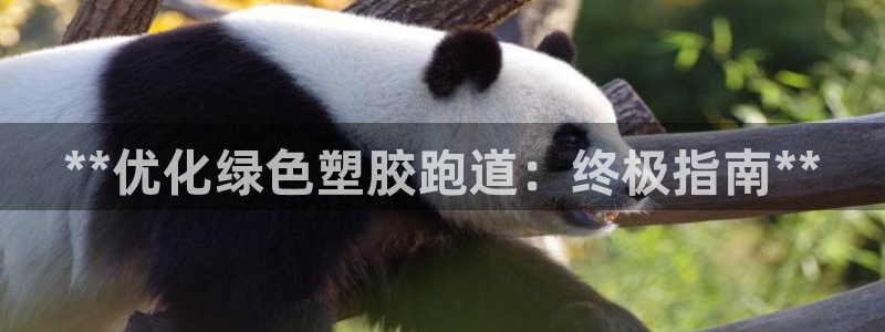 4633333开奖结果4176一点红