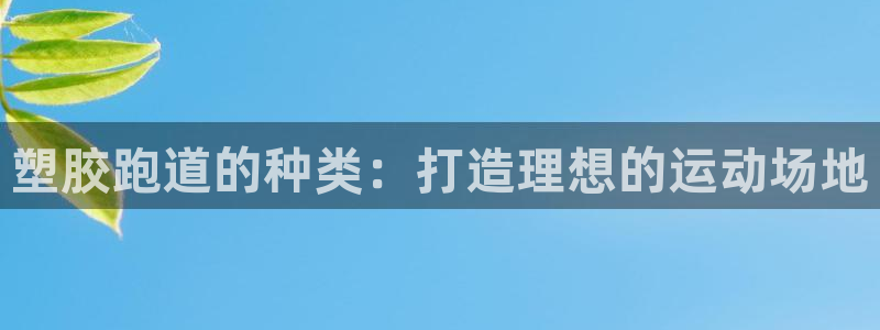 333814红·足一世比分