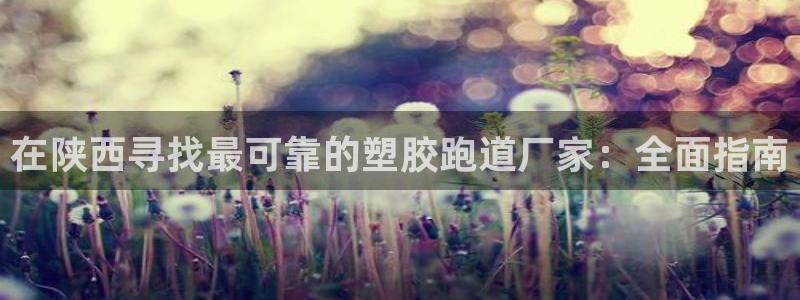 百度红足一1是干什么的