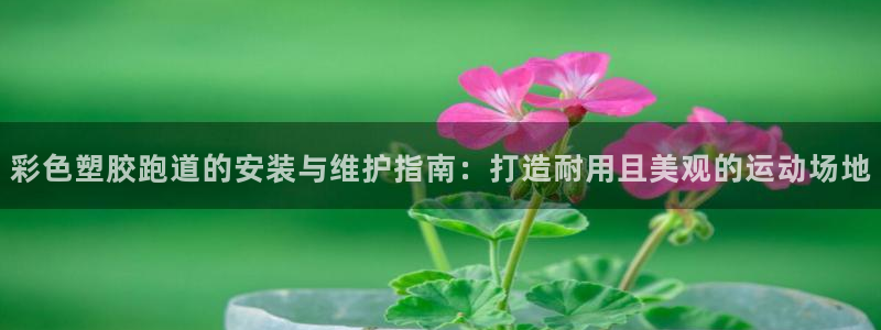 红足1世足球