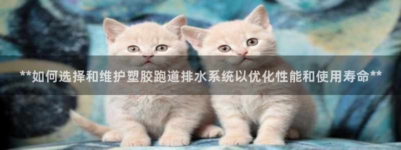 红足一1世即时比分
