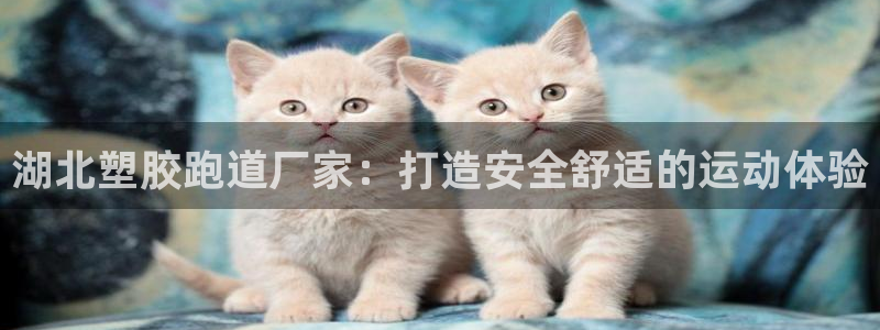 红足一1世77814