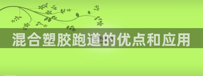 红足一1世66814新宝