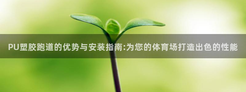 红足一1世即时比分