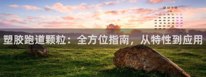 55814红足1世