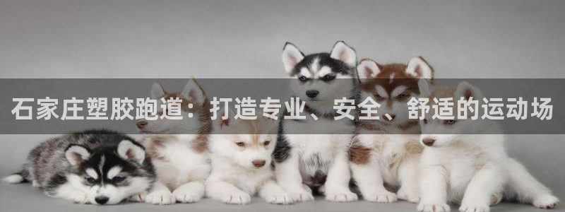 红足1世足球比分网址
