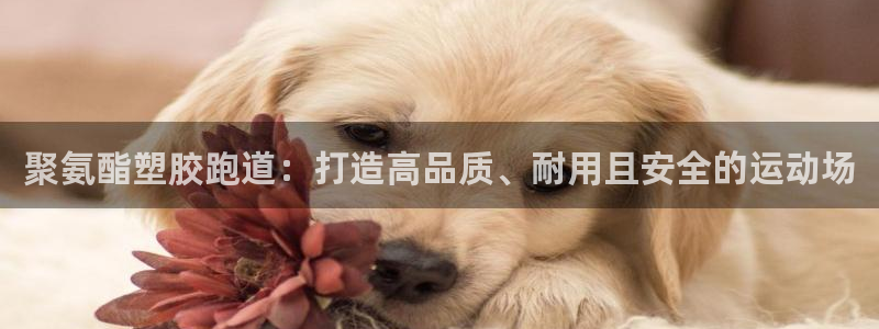 666814红·足一世比分