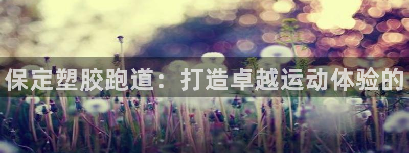 红足一1世比分球探
