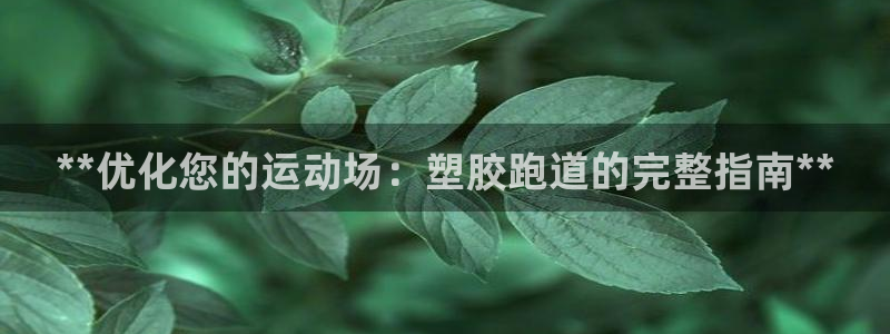 4633333开奖结果4176一点红