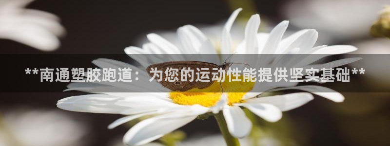 红足1世开奖预测