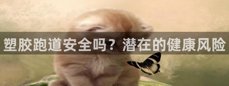 红足1世手机下载