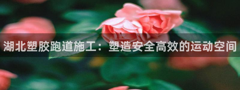 红足1世足球网址