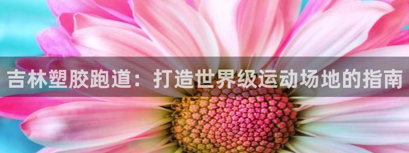 红足1世手足球比分