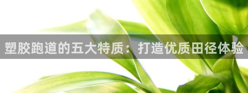 红足1一世