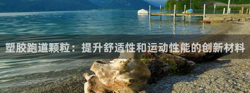 333814红·足一世比分