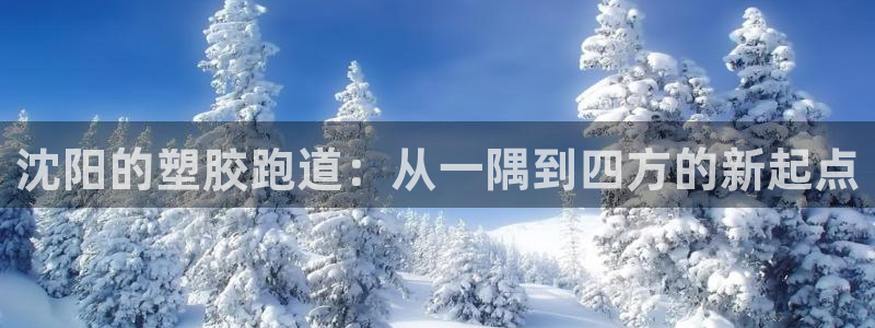 红足一1世66814新宝：沈阳的塑胶跑道：从一隅到四方的新起点