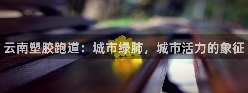 红足1世手机板：云南塑胶跑道：城市绿肺，城市活力的象征