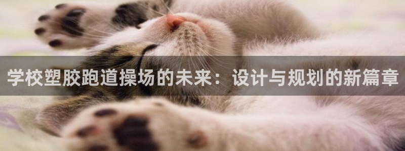 百度红足一1使用说明：学校塑胶跑道操场的未来：设计与规划的新篇章