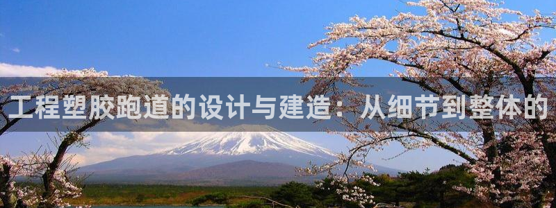 红足1世手机下载：工程塑胶跑道的设计与建造：从细节到整体的