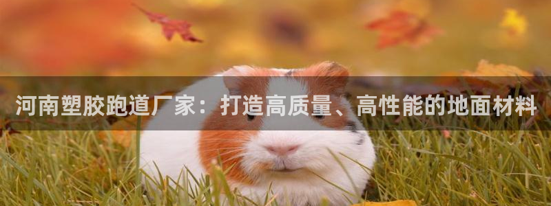 红足1一世开奖版：河南塑胶跑道厂家：打造高质量、高性能的地面材料