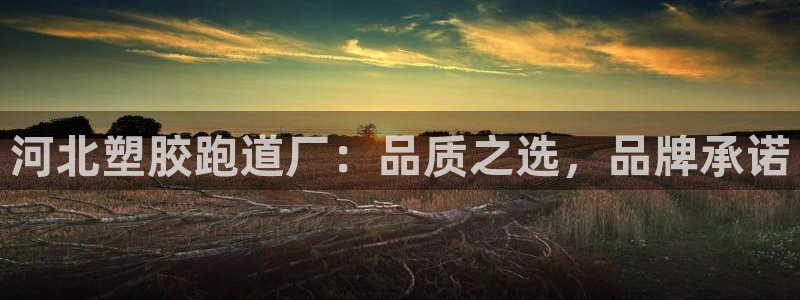 红足一1世66814新宝：河北塑胶跑道厂：品质之选，品牌承诺