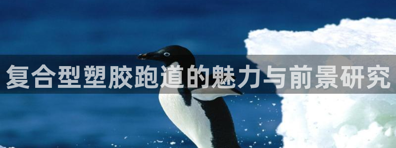 红足一1世官网足球推荐真人：复合型塑胶跑道的魅力与前景研究