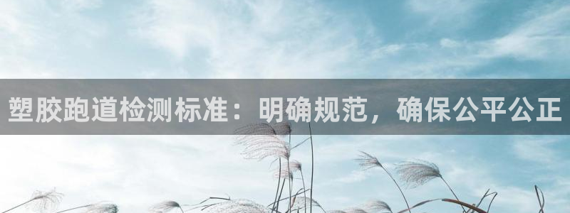 红足一1世皇冠地址：塑胶跑道检测标准：明确规范，确保公平公正