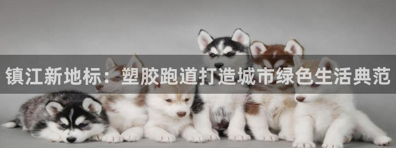 333814红·足一世比分：镇江新地标：塑胶跑道打造城市绿色生活典范