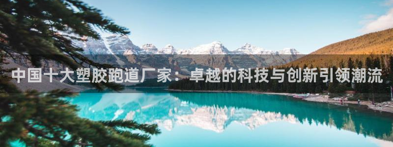 红足体育网：中国十大塑胶跑道厂家：卓越的科技与创新引领潮流