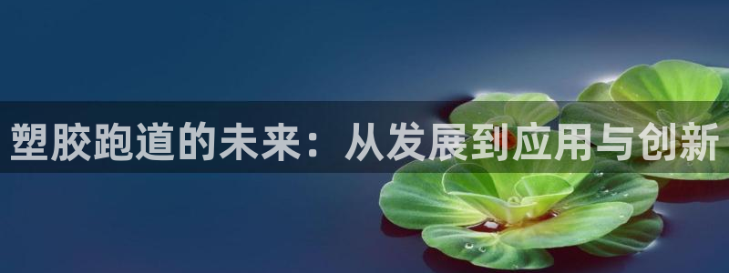 红足一1世手机版新皇冠:塑胶跑道的未来:从发展到应用与创新