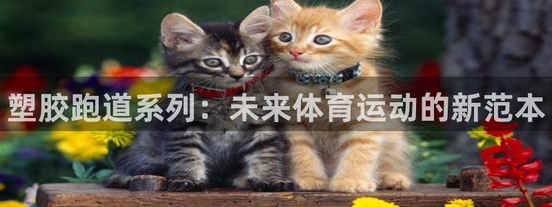 红足一生世：塑胶跑道系列：未来体育运动的新范本