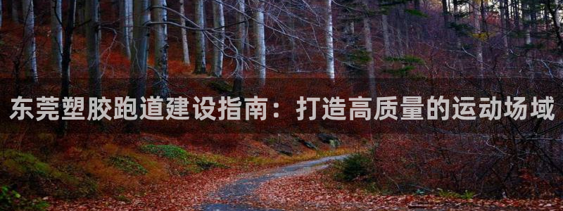 77814红足1世：东莞塑胶跑道建设指南：打造高质量的运动场域