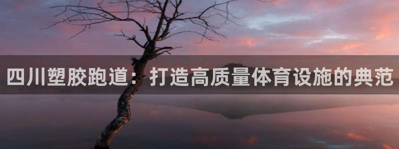 红足l一世开奖现场62ty:四川塑胶跑道:打造高质量体育设施的典范