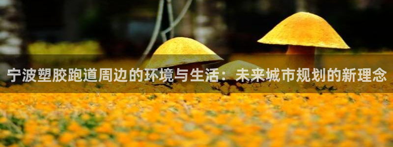 红足体育网：宁波塑胶跑道周边的环境与生活：未来城市规划的新理念