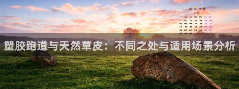 红足一1世手机开奖：塑胶跑道与天然草皮：不同之处与适用场景分析