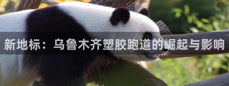 红足一1世平台：新地标：乌鲁木齐塑胶跑道的崛起与影响