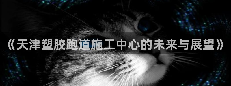 红足1世手机下载:《天津塑胶跑道施工中心的未来与展望》