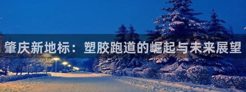 红足一1世比分网:肇庆新地标:塑胶跑道的崛起与未来展望