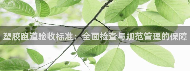 红足1世1站2站管理网:塑胶跑道验收标准:全面检查与规范管理的保障
