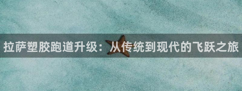 红足1世手足球比分:拉萨塑胶跑道升级:从传统到现代的飞跃之旅