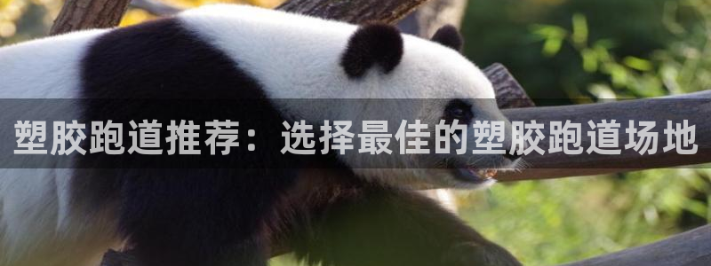 百度红足一1视频在线观看:塑胶跑道推荐:选择最佳的塑胶跑道场地