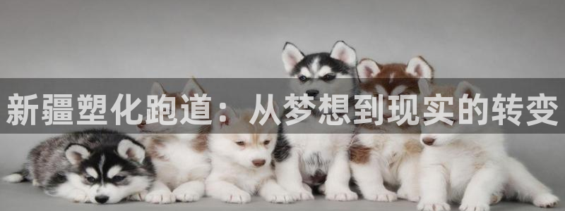 红足1一世足球手机：新疆塑化跑道：从梦想到现实的转变