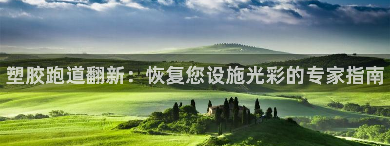 红足一1世官网比分：塑胶跑道翻新：恢复您设施光彩的专家指南