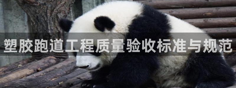 红足一生世:塑胶跑道工程质量验收标准与规范