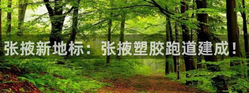 333814红足1世：张掖新地标：张掖塑胶跑道建成！