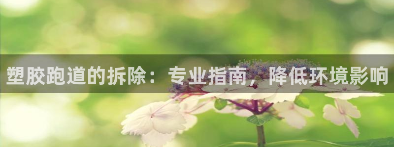 红足一1世平台：塑胶跑道的拆除：专业指南，降低环境影响