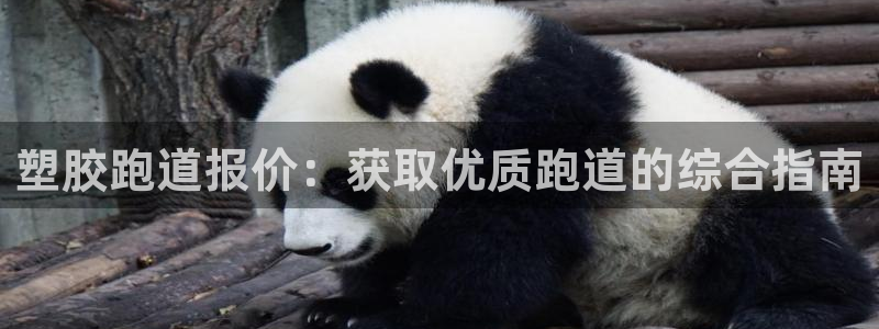 红足一1世66814：塑胶跑道报价：获取优质跑道的综合指南