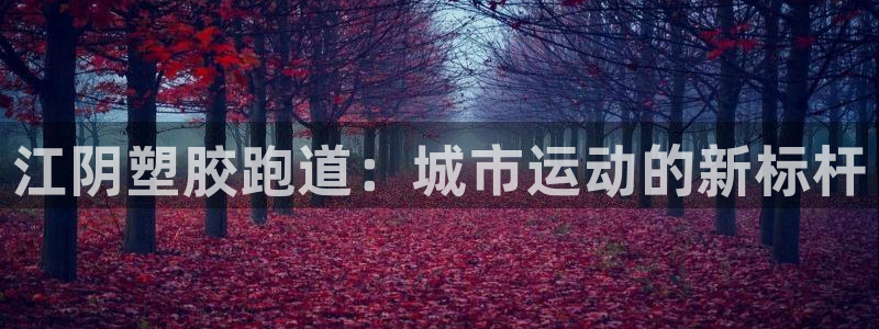 55814红足1世：江阴塑胶跑道：城市运动的新标杆