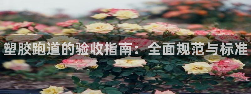 红足一1世66814：塑胶跑道的验收指南：全面规范与标准