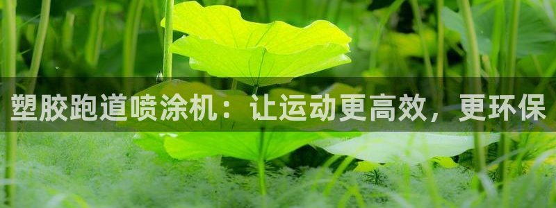 红足一1世666814最新结果：塑胶跑道喷涂机：让运动更高效，更环保